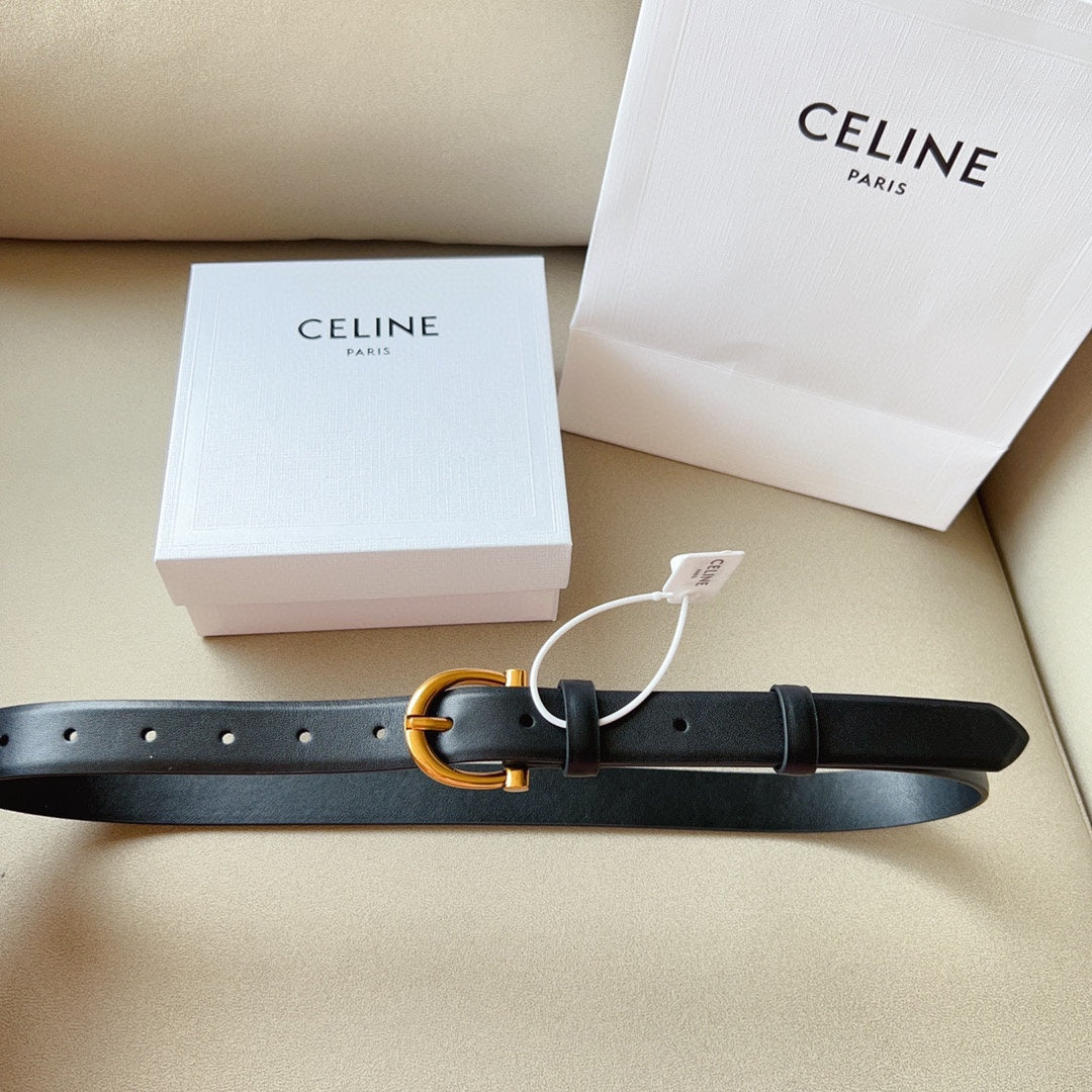 P1W15N178 Popular High quality belt With full package