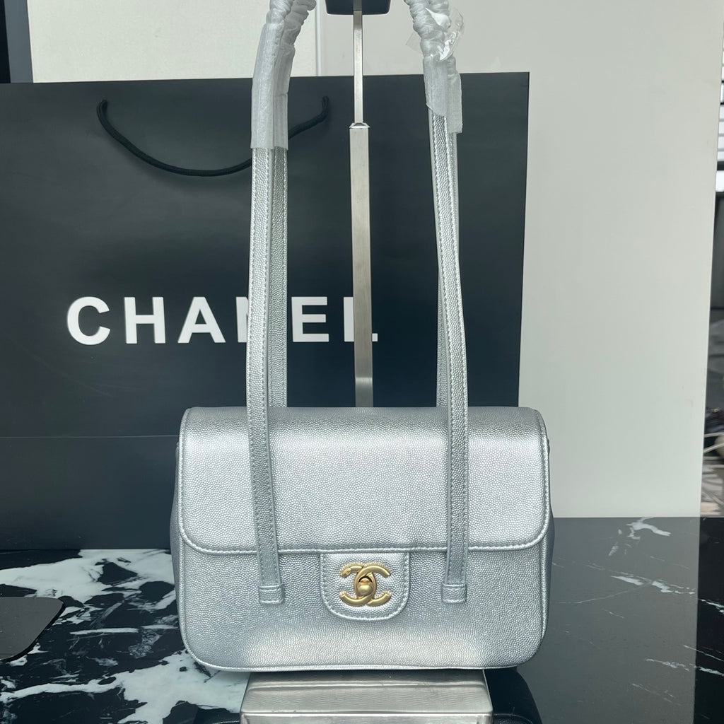 B1X46C1 Popular leather bag