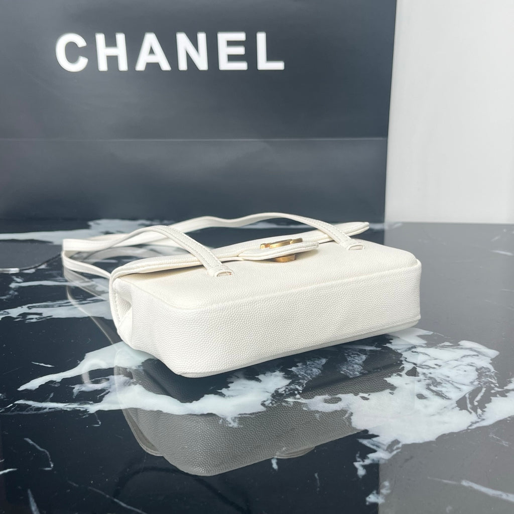 B1X46C1 Popular leather bag