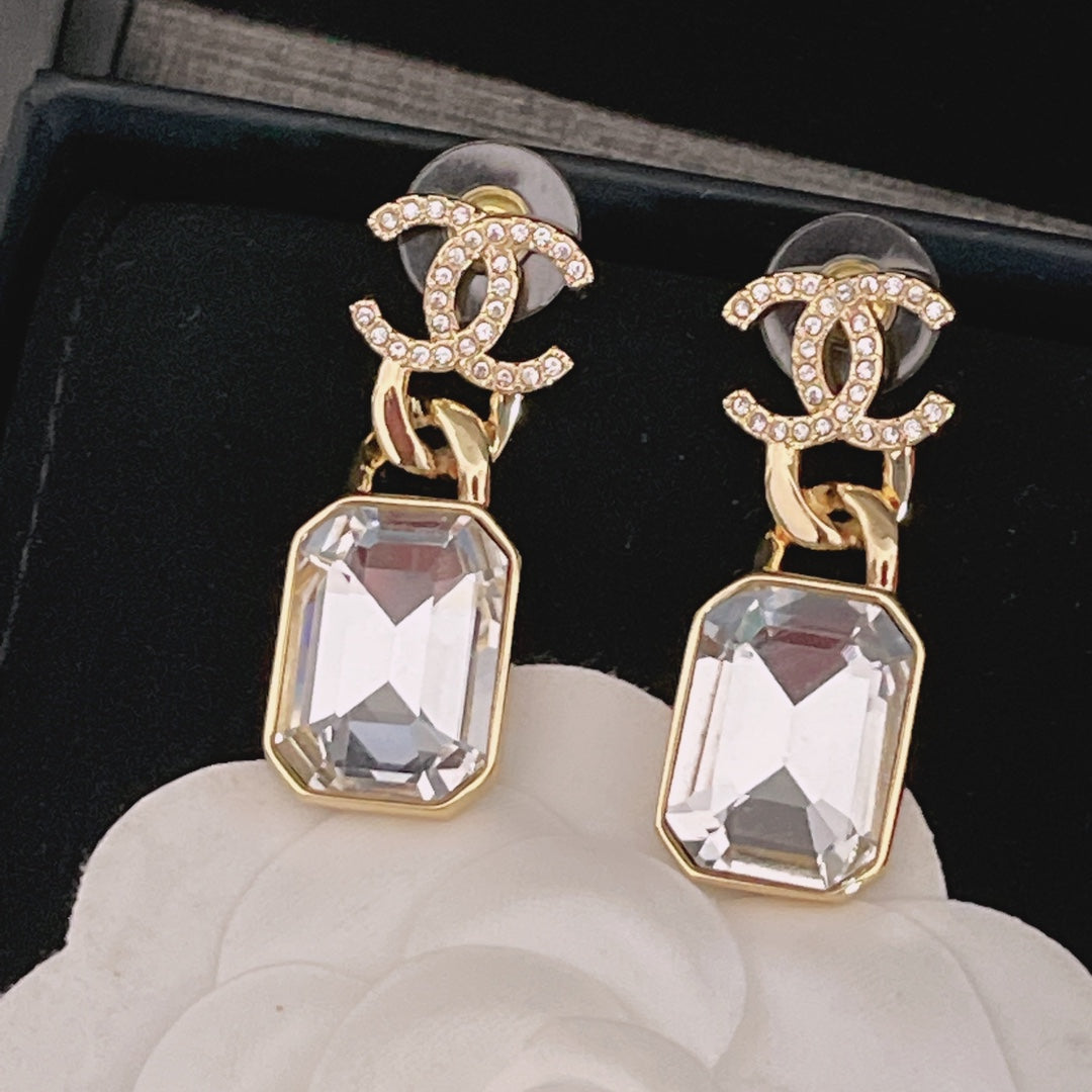 X1Z54C341E Popular  Earrings