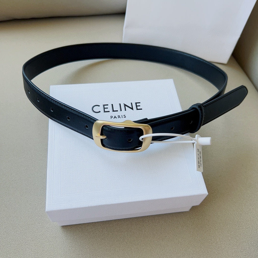 P1W15N180 Popular   High quality belt With full package