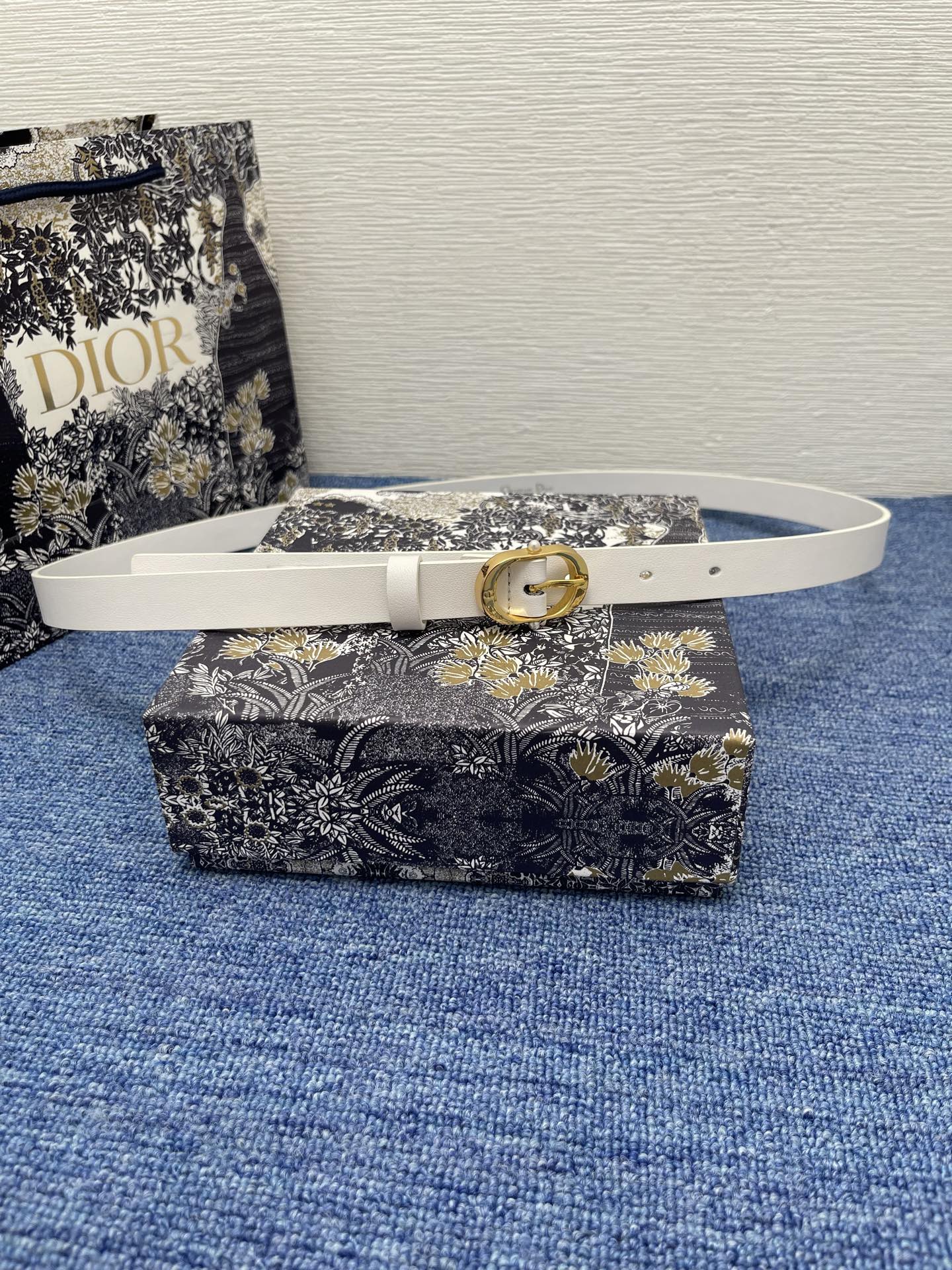 P1R55D204 Popular  High quality belt With full package