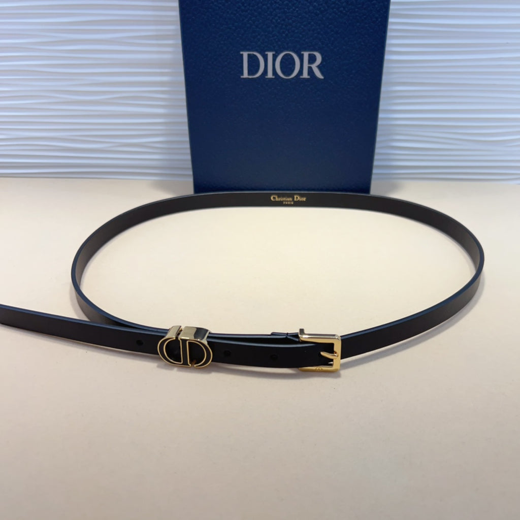 P1W15D181 Popular   High quality belt With full package
