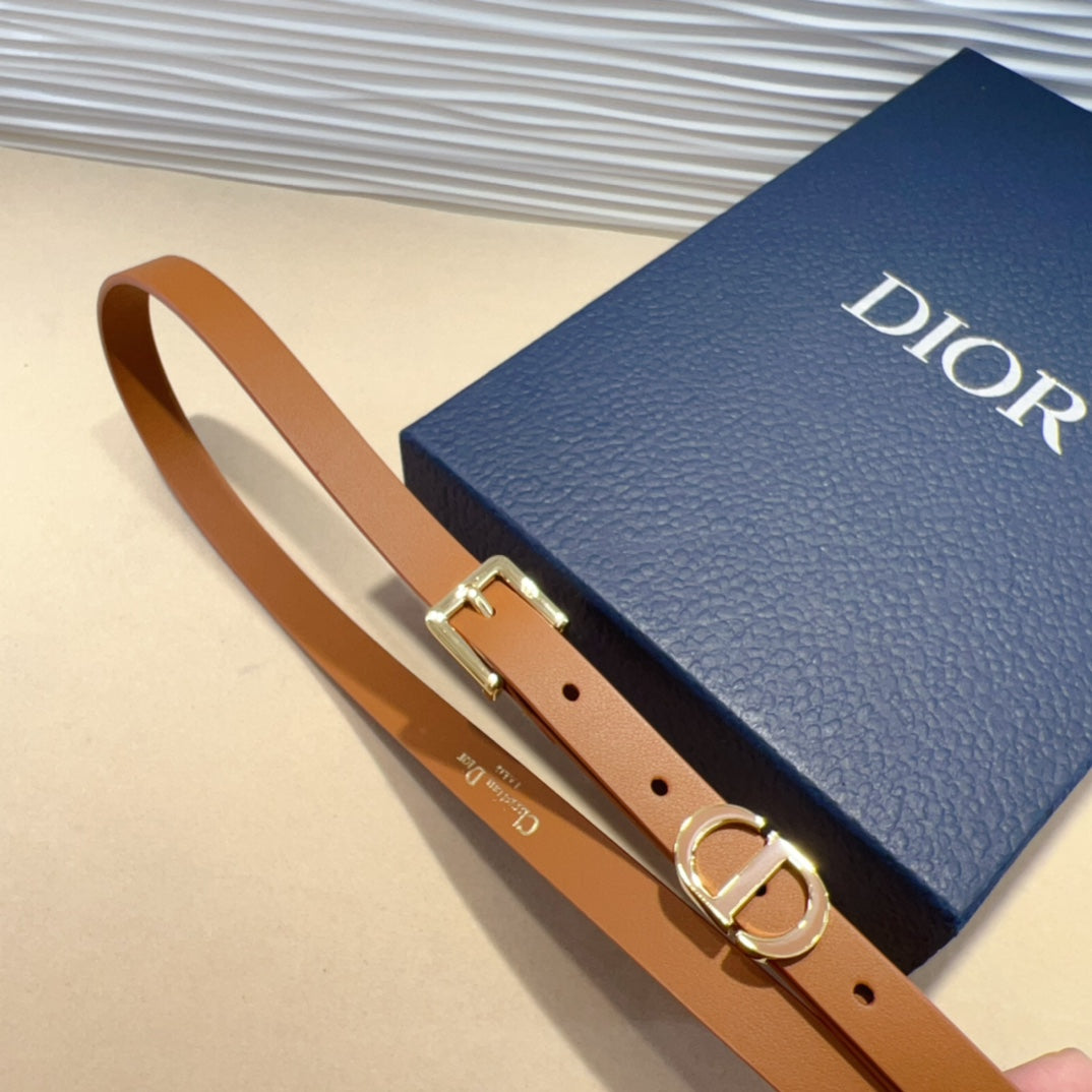 P1W15D181 Popular   High quality belt With full package