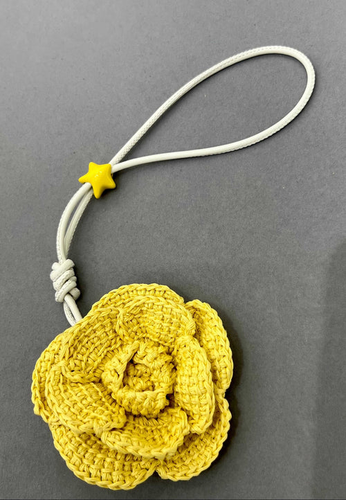 A1R66A4 Popular bag 's charms accessories