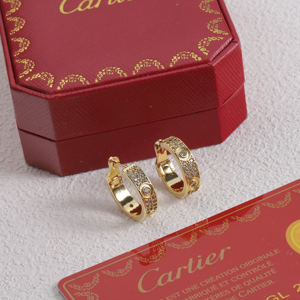 X1Y83K13E Popular    Earrings