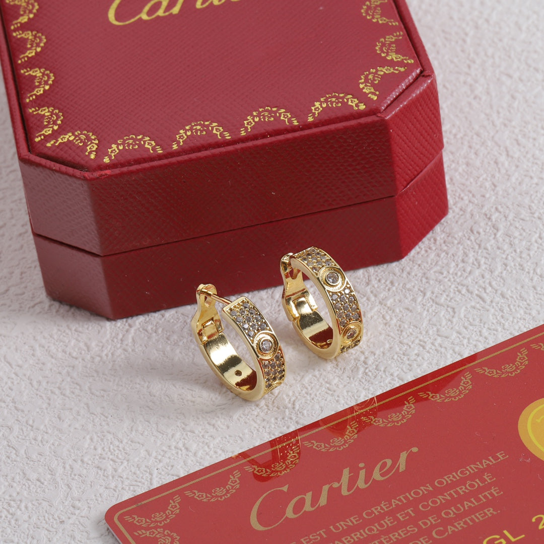 X1Y83K13E Popular    Earrings