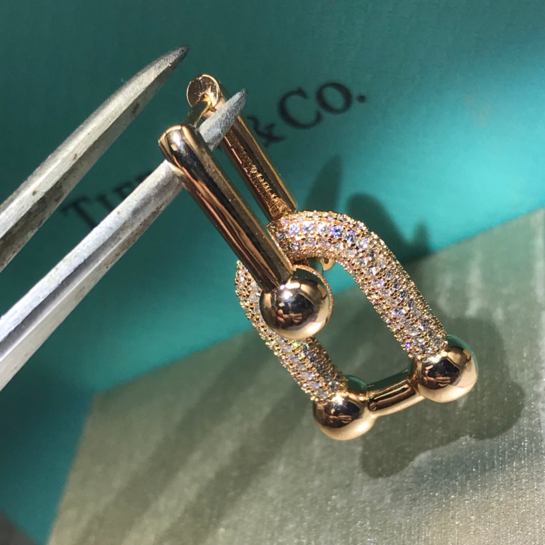 X1Z54T431E Popular  Earrings