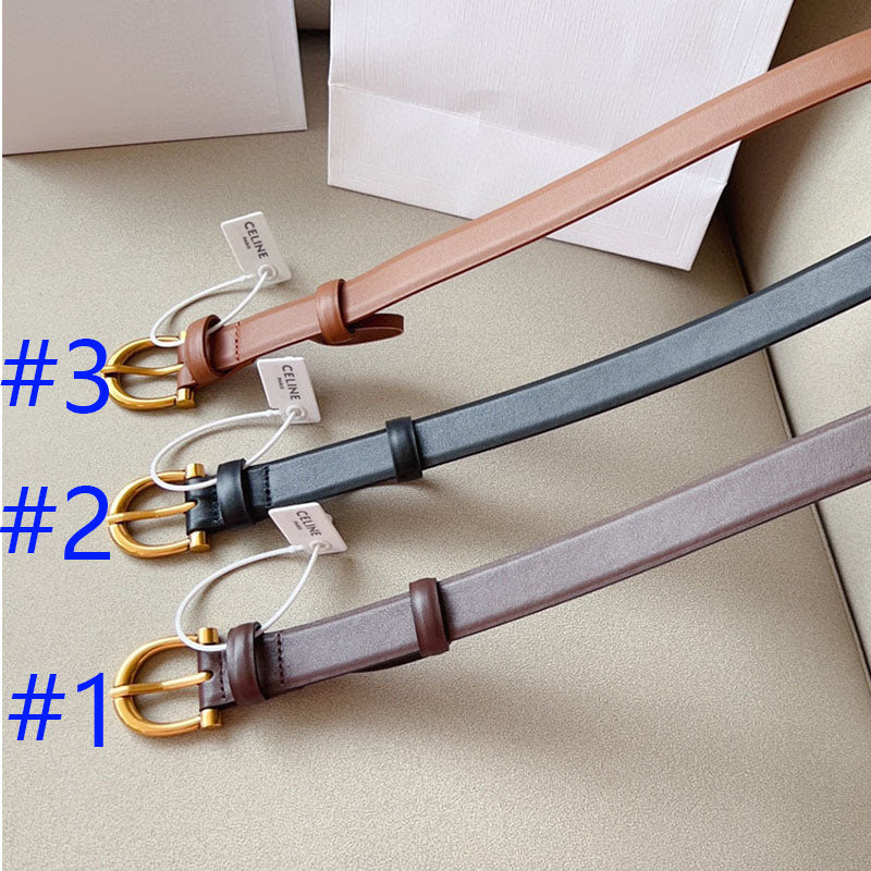 P1W15N178 Popular High quality belt With full package