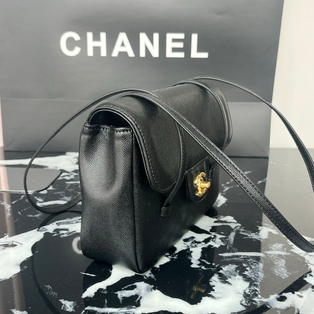 B1X46C1 Popular leather bag
