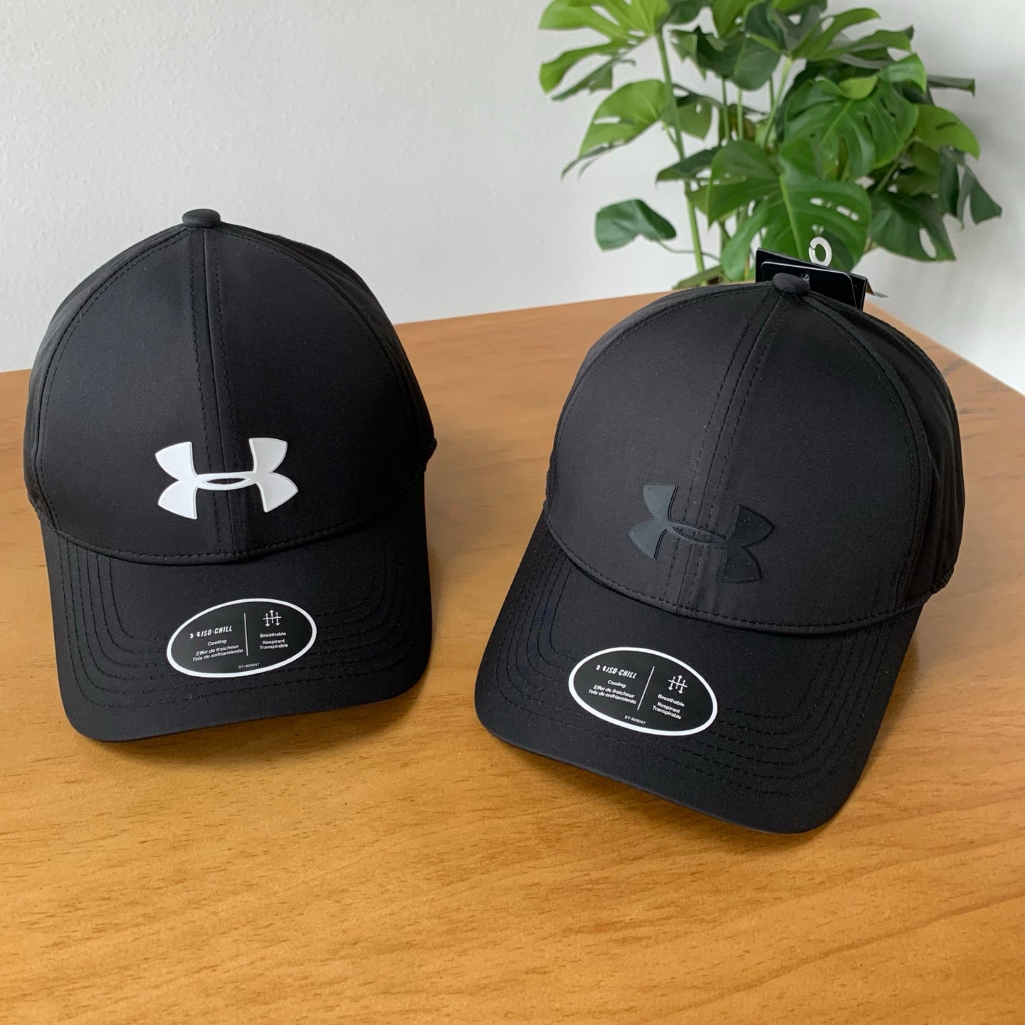 M1Z45A538 Popular  hats