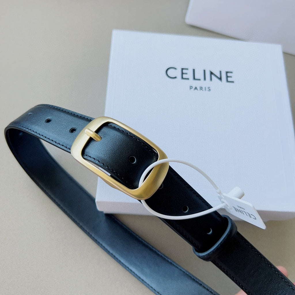 P1W15N180 Popular   High quality belt With full package