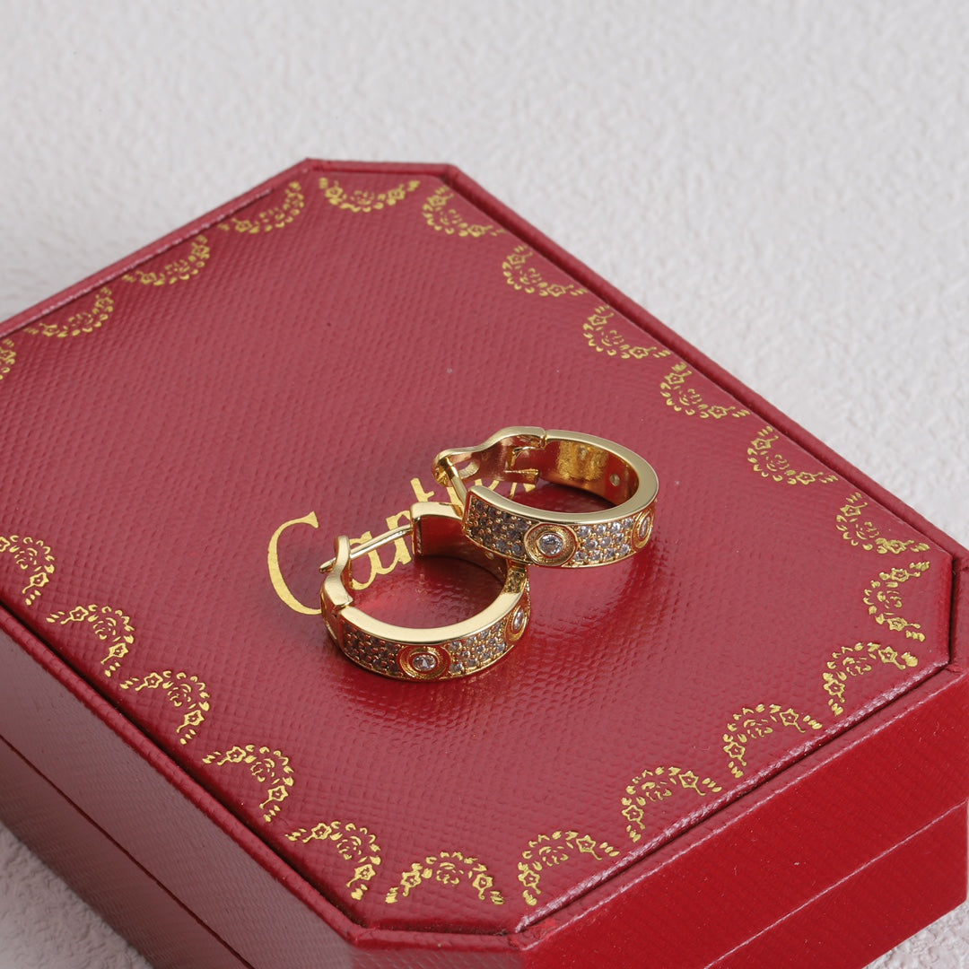 X1Y83K13E Popular    Earrings