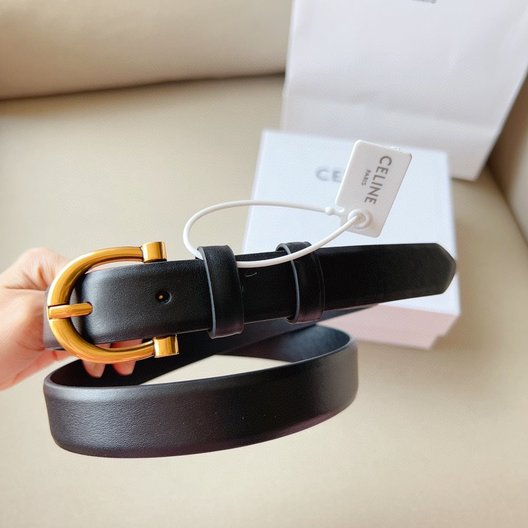 P1W15N178 Popular High quality belt With full package