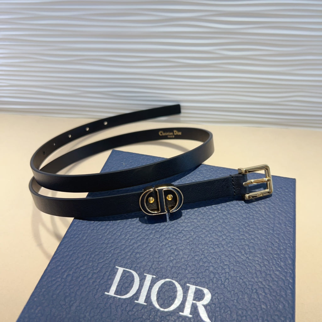 P1W15D181 Popular   High quality belt With full package