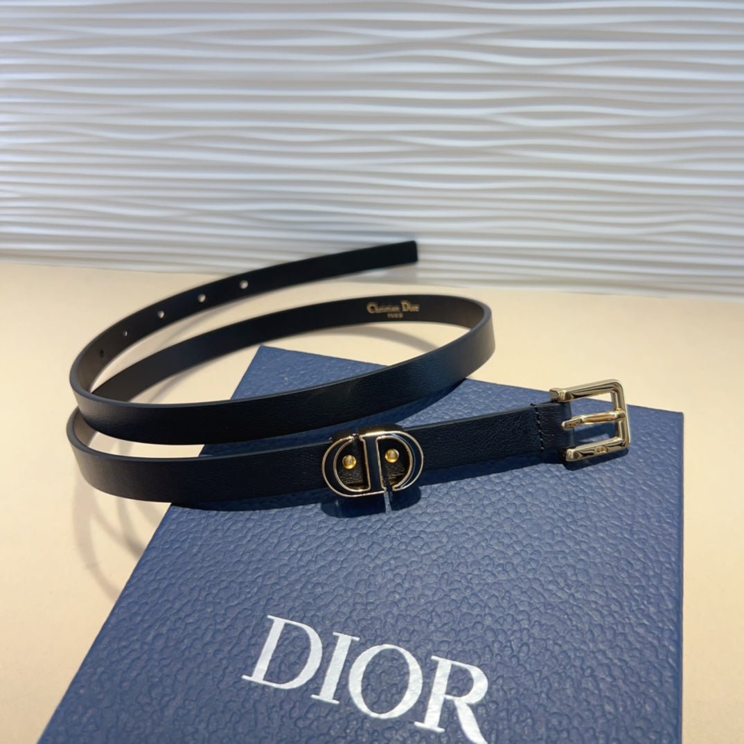 P1W15D181 Popular   High quality belt With full package