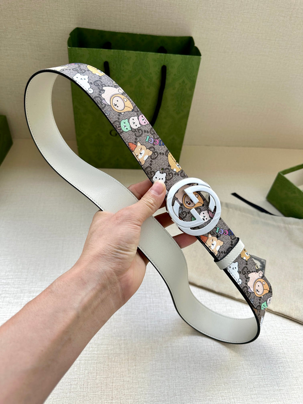 P1R55B208 Popular High quality belt With full package
