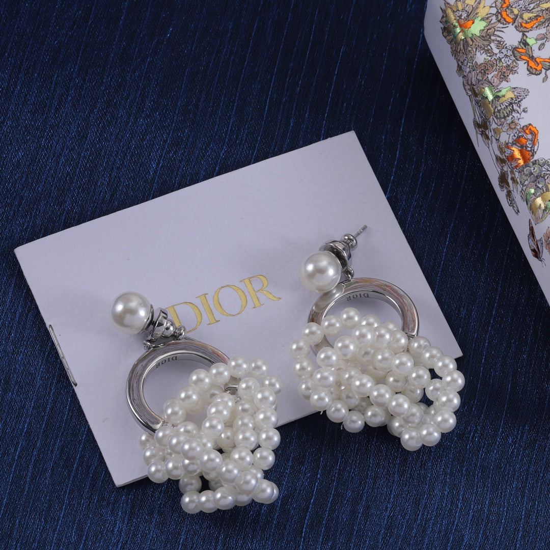 X1Z94D1020E Popular Earrings