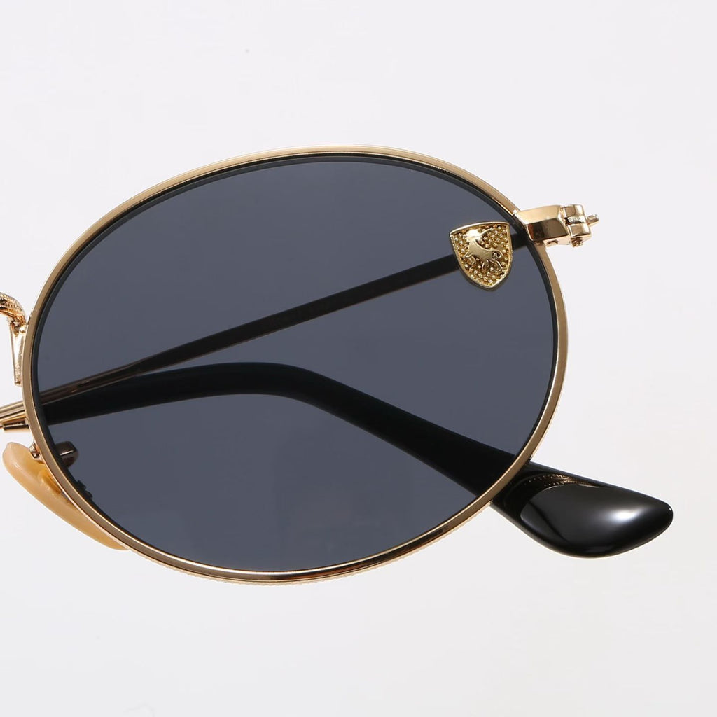T1R86C42 Popular Sunglasses