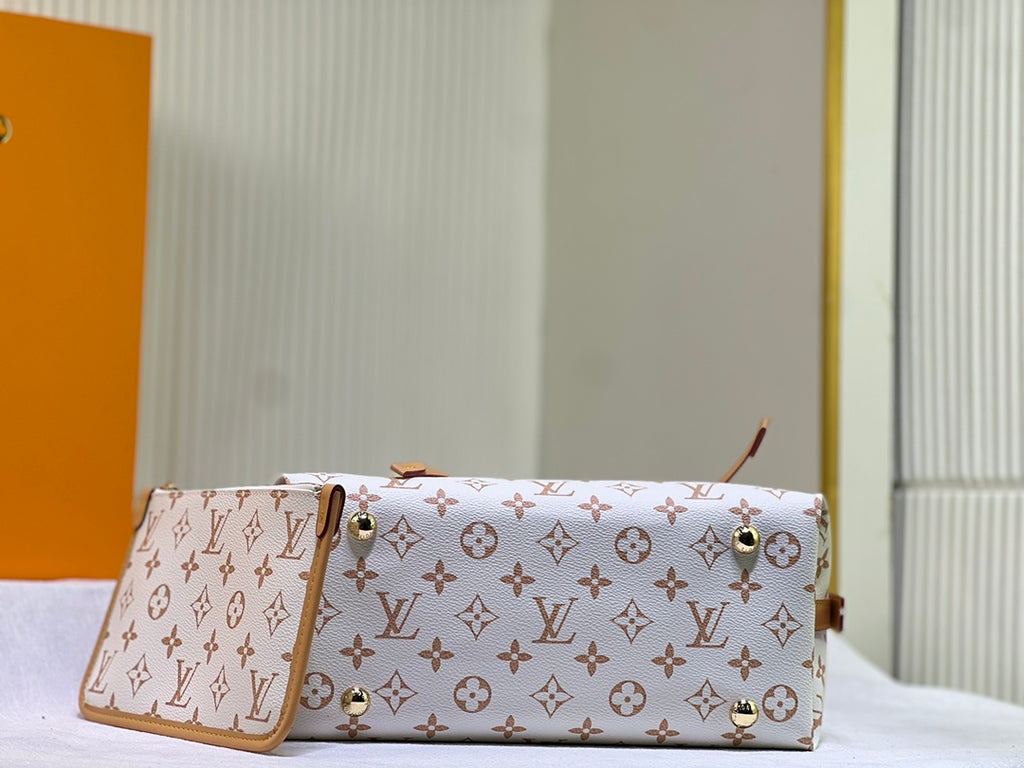 B12W25E46 Popular leather bag