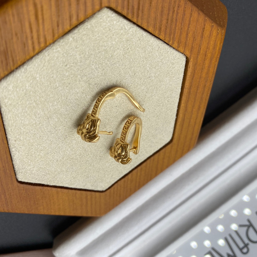 X1Z94V630E Popular Earrings