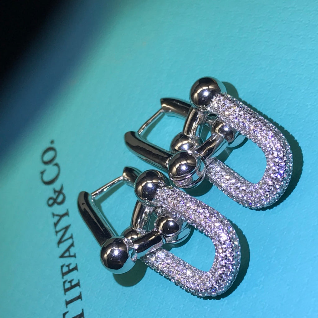 X1Z54T431E Popular  Earrings