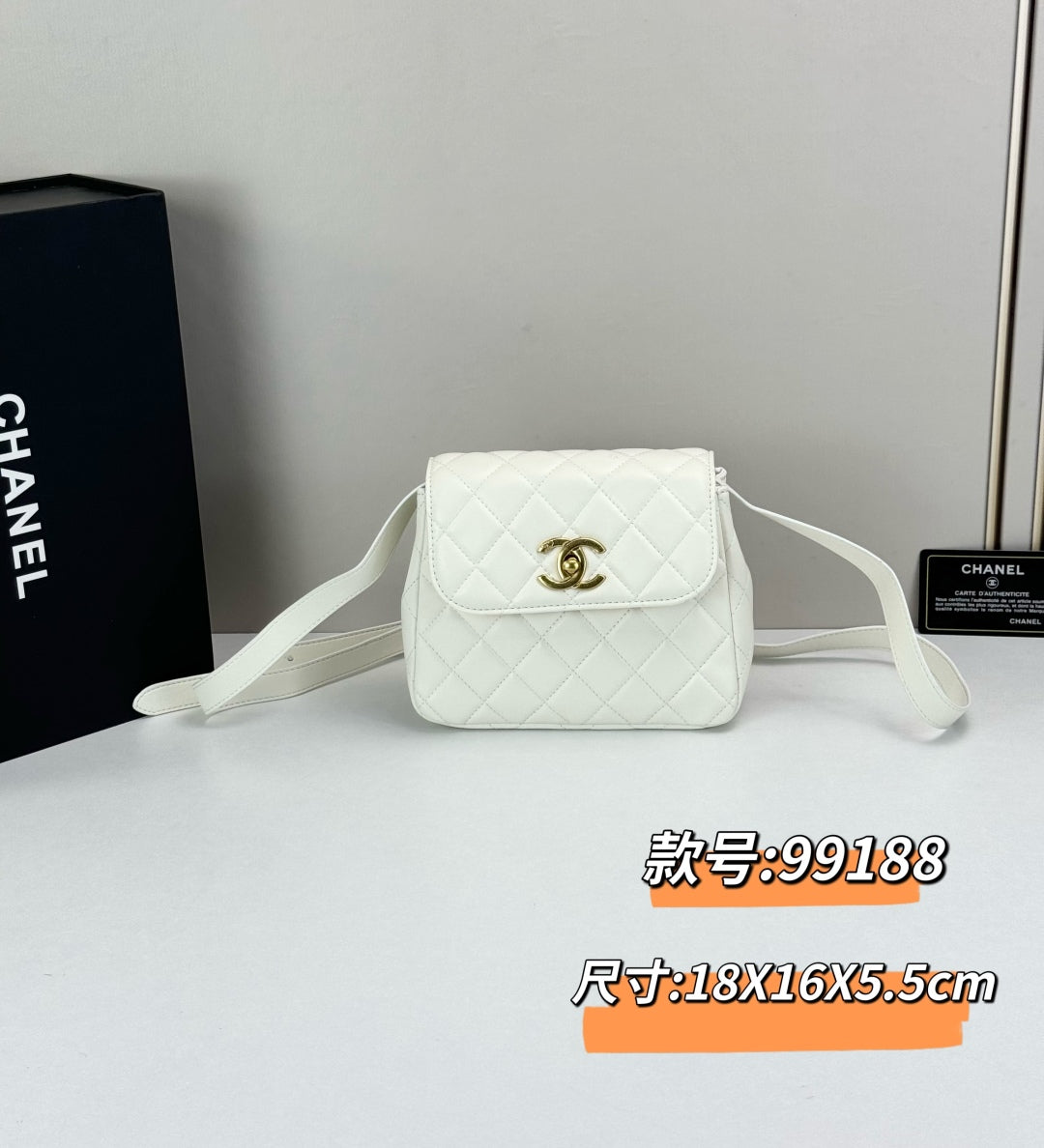 B1R15C63  Popular  leather bag