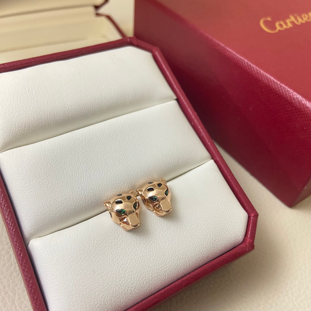 X5N56K26E Popular Earrings
