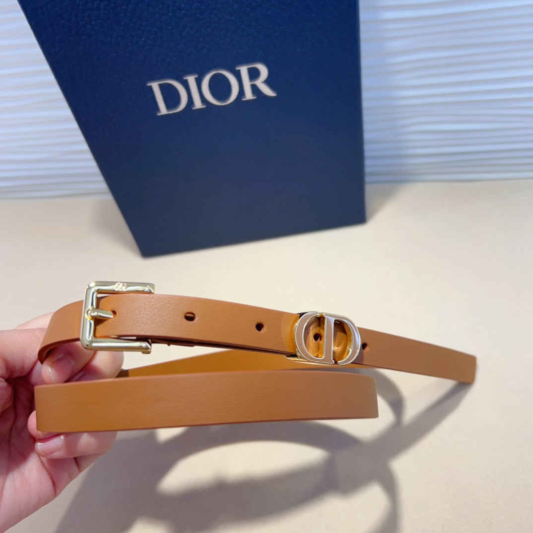 P1W15D181 Popular   High quality belt With full package
