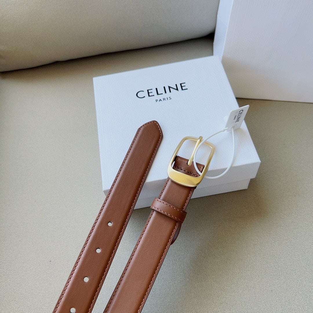 P1W15N180 Popular   High quality belt With full package