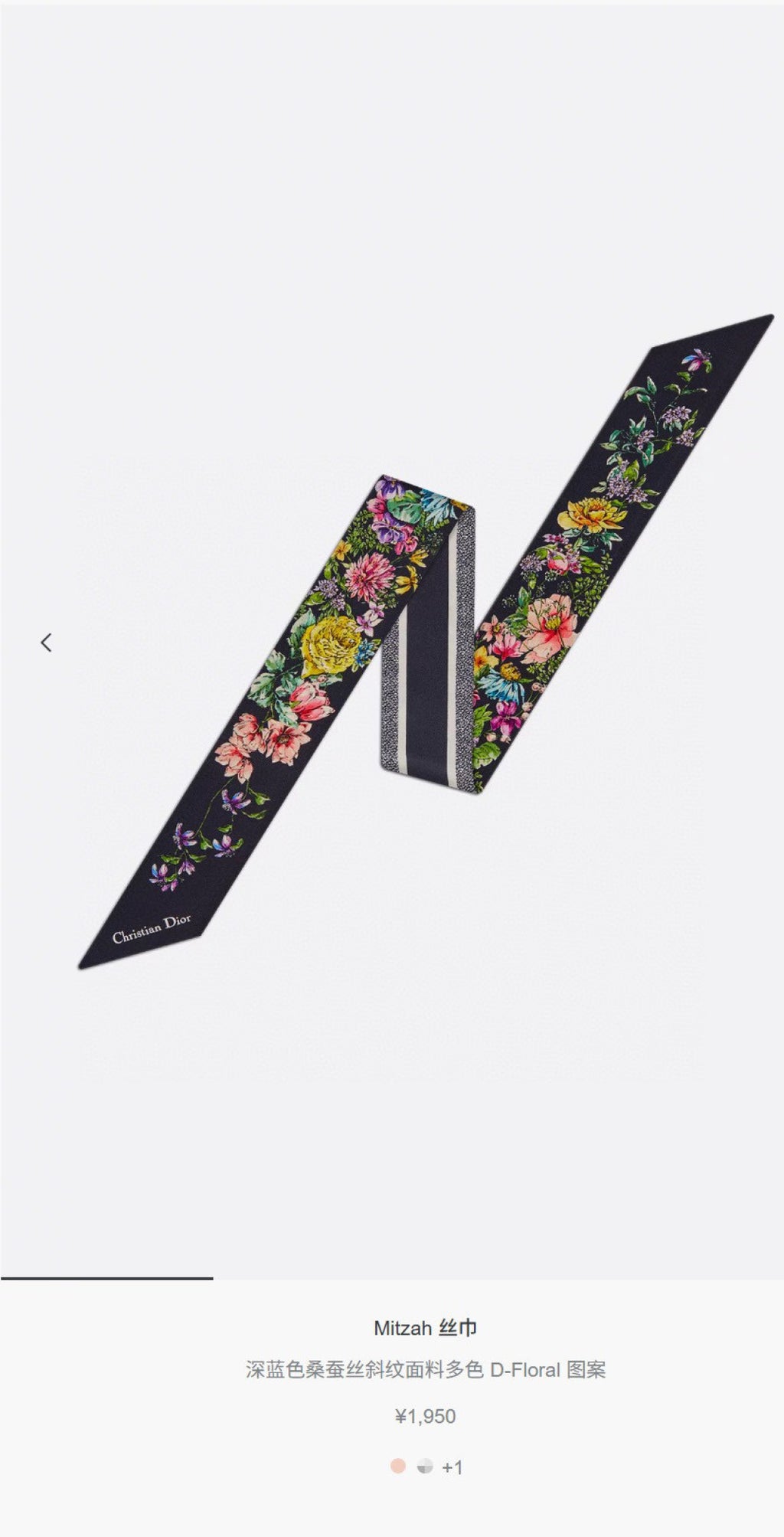 W1N46B42 Popular Silk Scarve