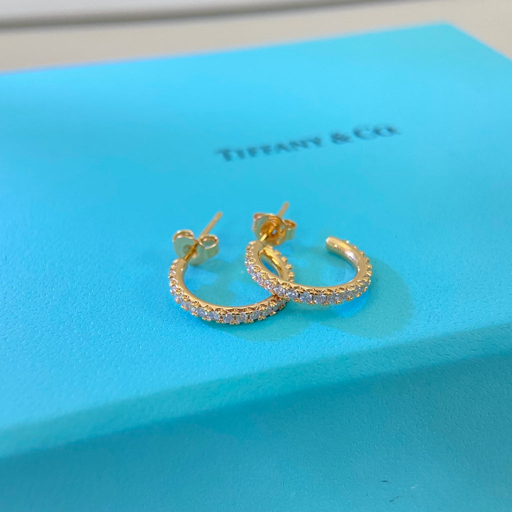 X1Z95T10E Popular Earrings