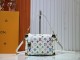 B1W35E101 Popular leather bag