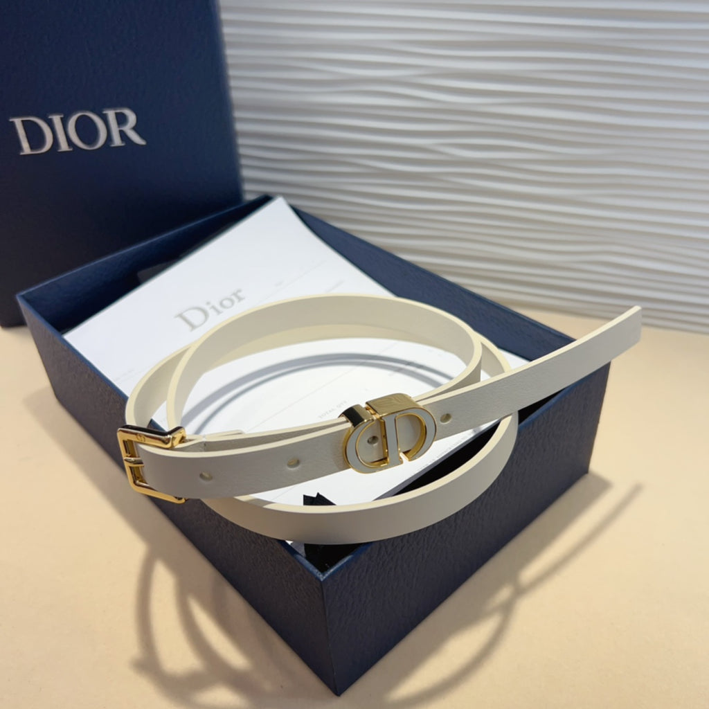 P1W15D181 Popular   High quality belt With full package