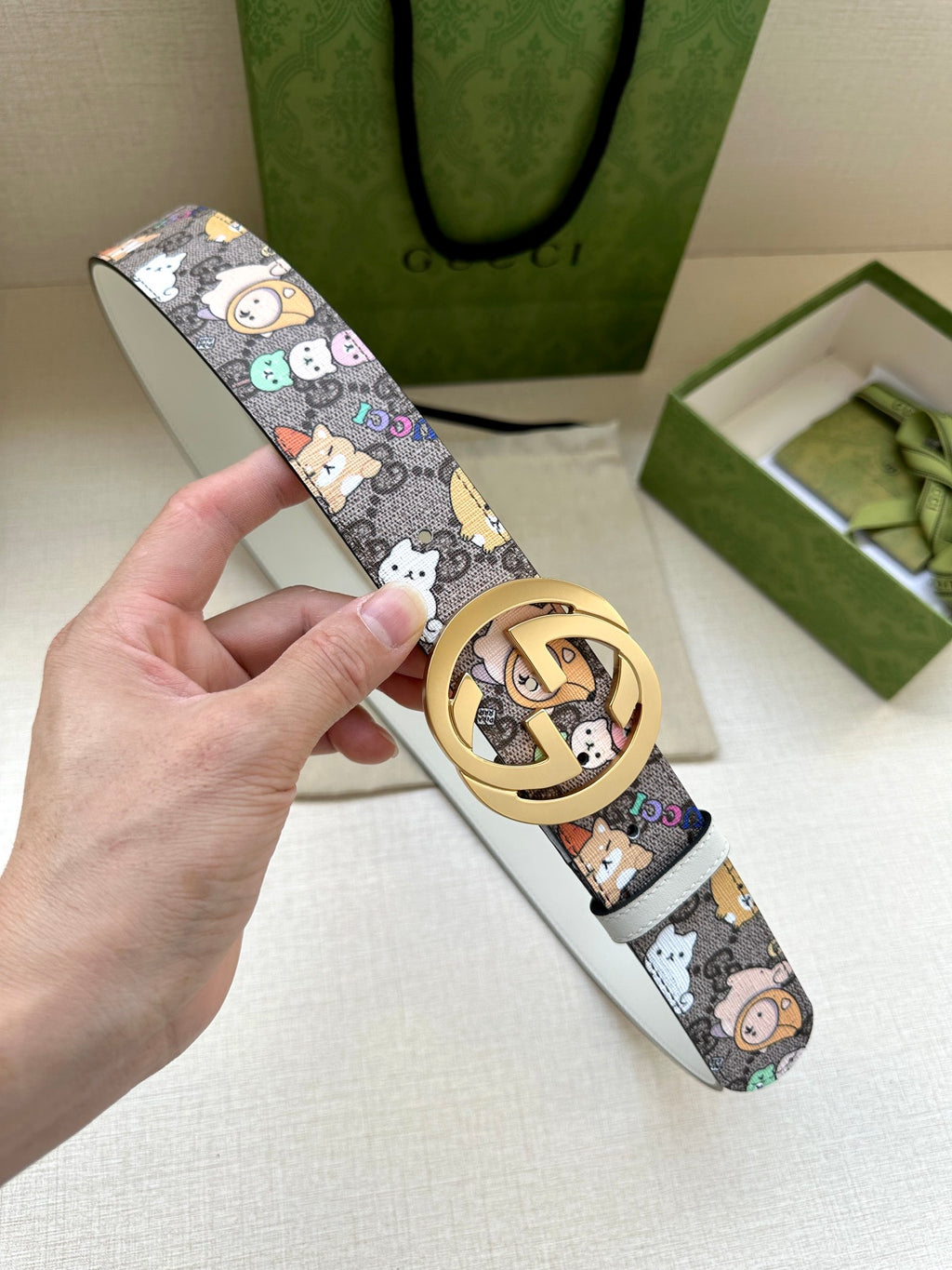 P1R55B208 Popular High quality belt With full package