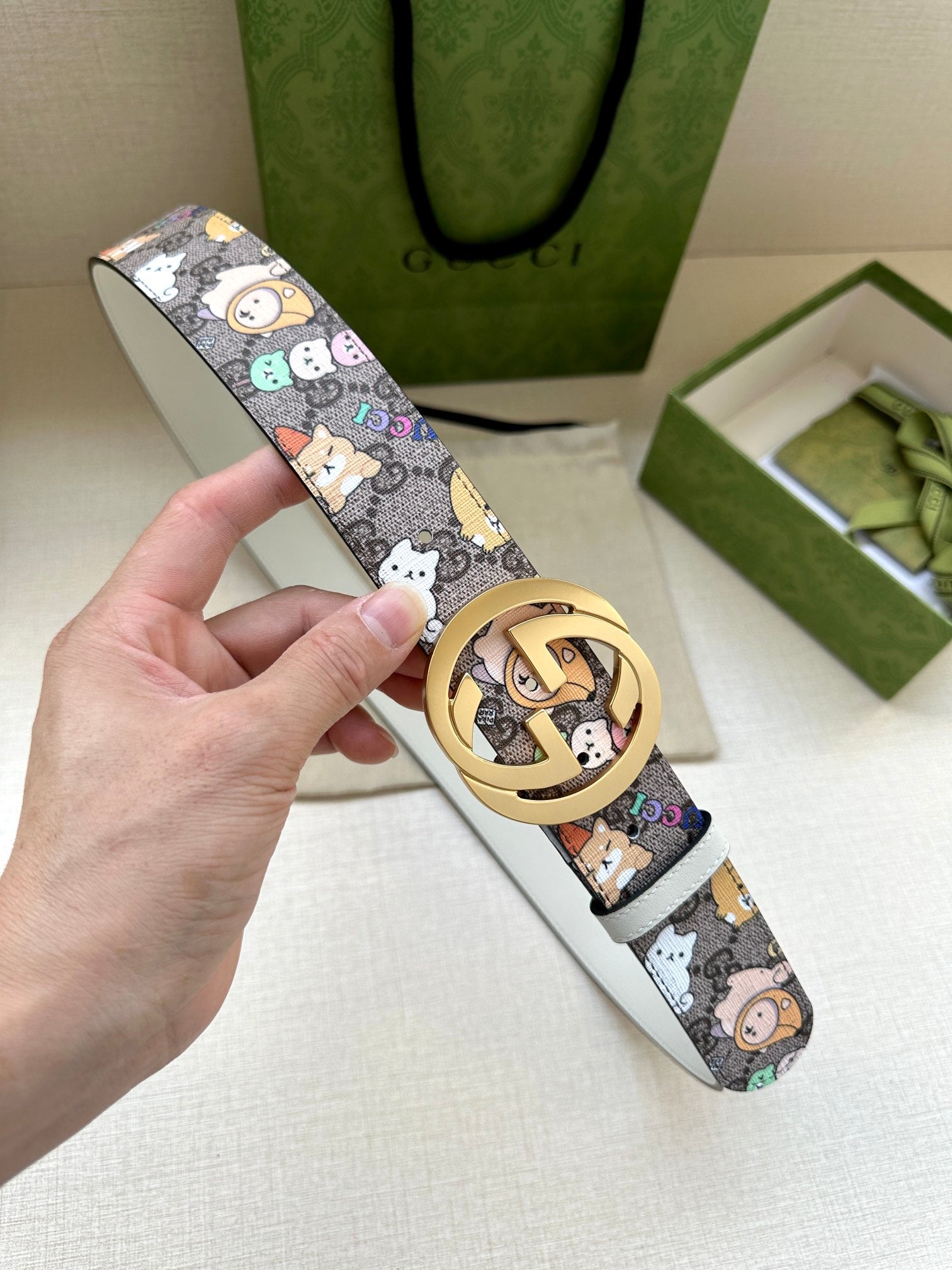 P1R55B208 Popular High quality belt With full package