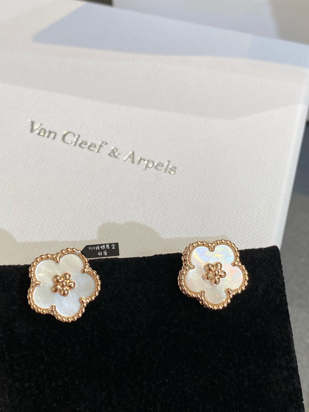 X5Z95VA21E Popular Earrings