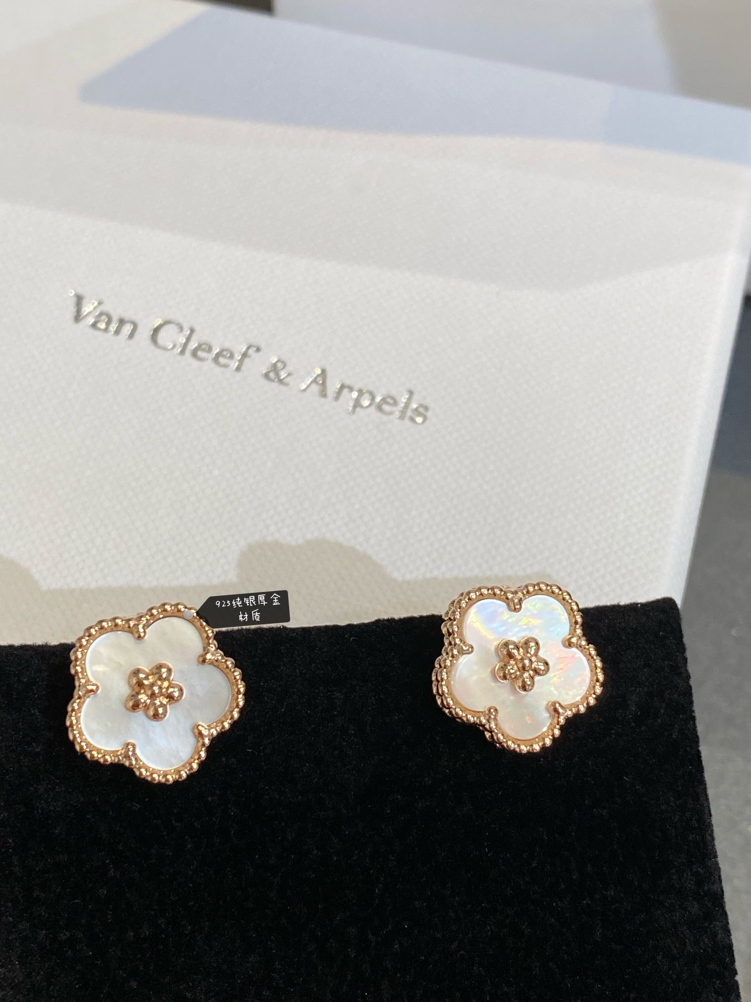 X5Z95VA21E Popular Earrings