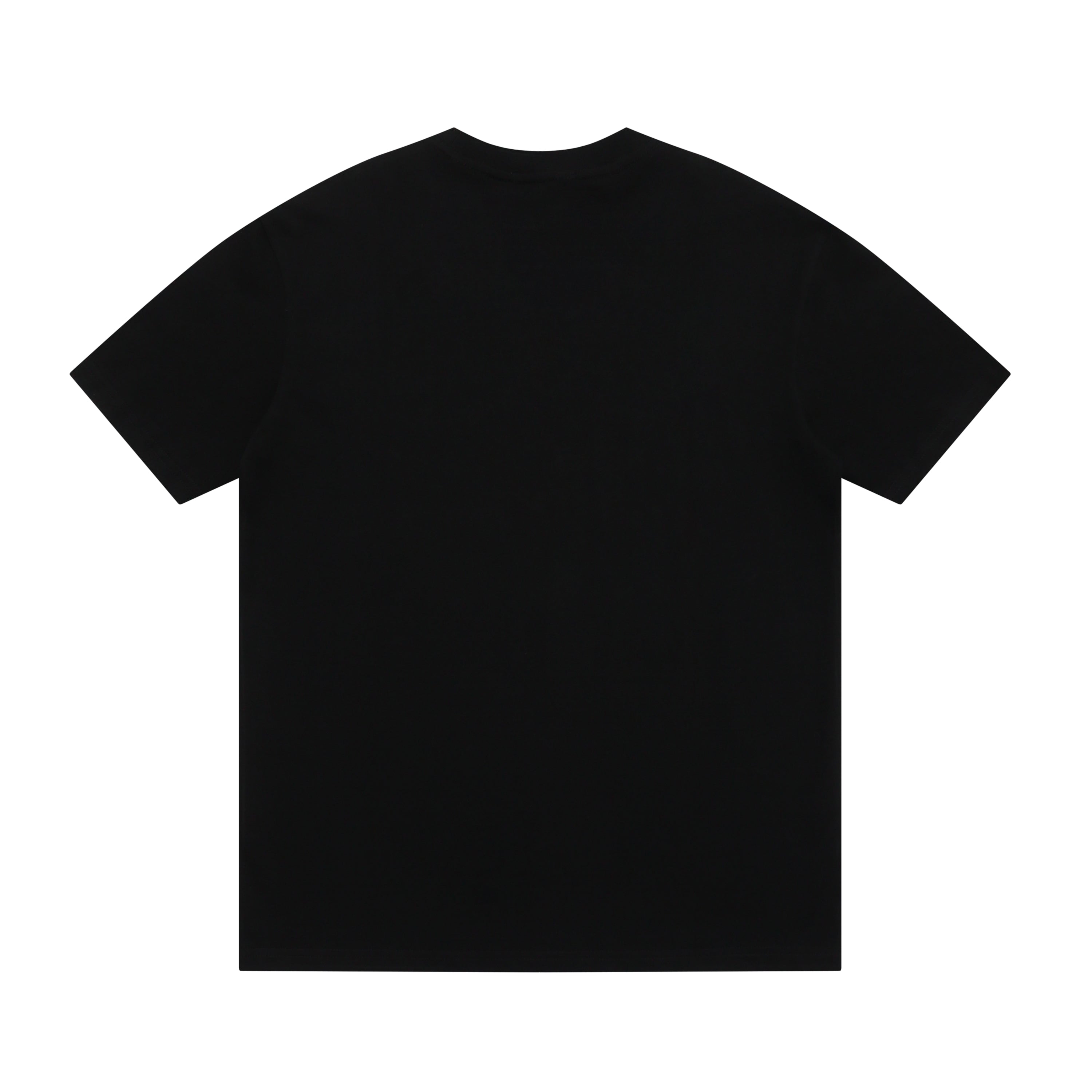U1R45VL189 Popular T-shirt