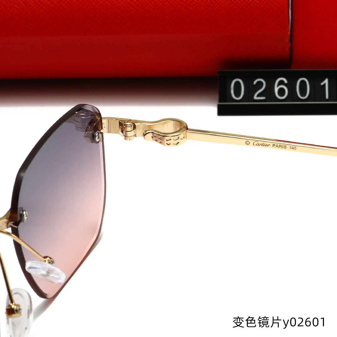 T1R86K13 Popular Sunglasses