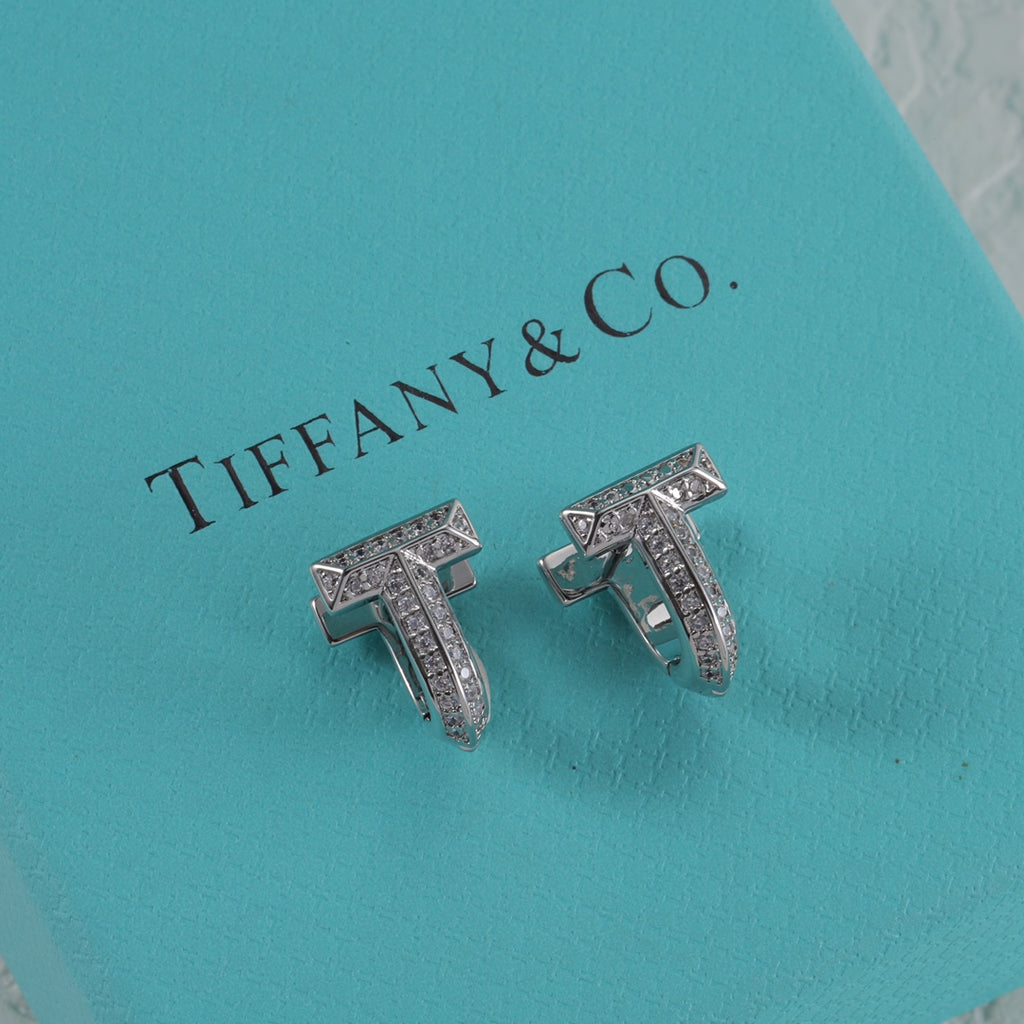 X1N95T2E  Popular Earrings