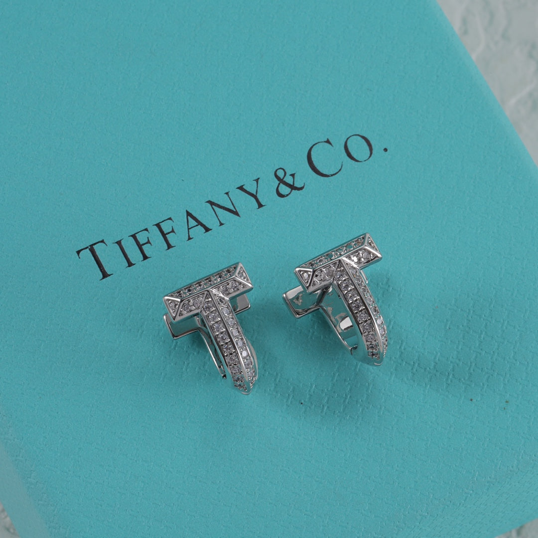 X1N95T2E  Popular Earrings