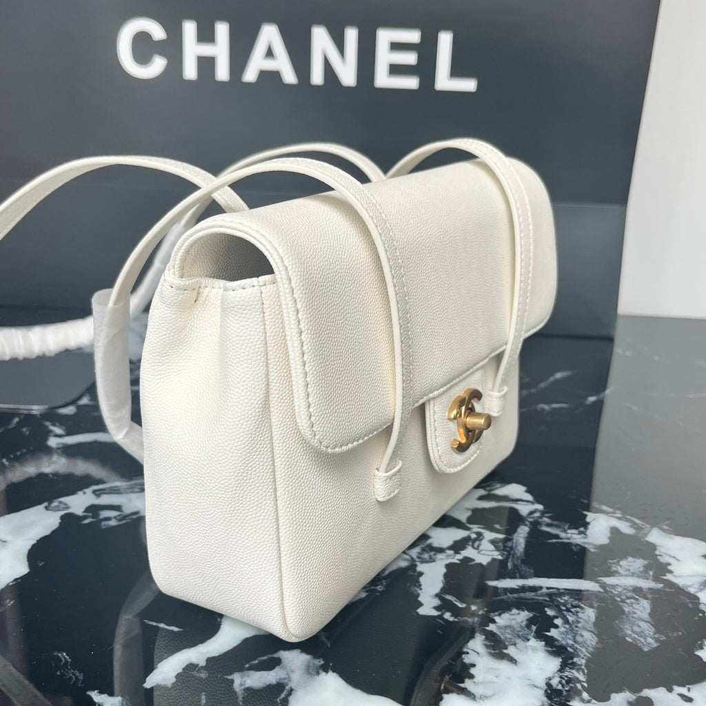 B1X46C1 Popular leather bag