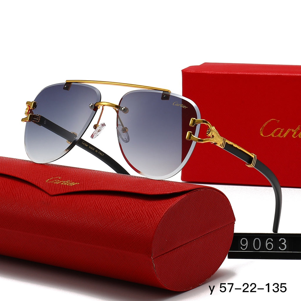 T1N36K55 Popular Sunglasses