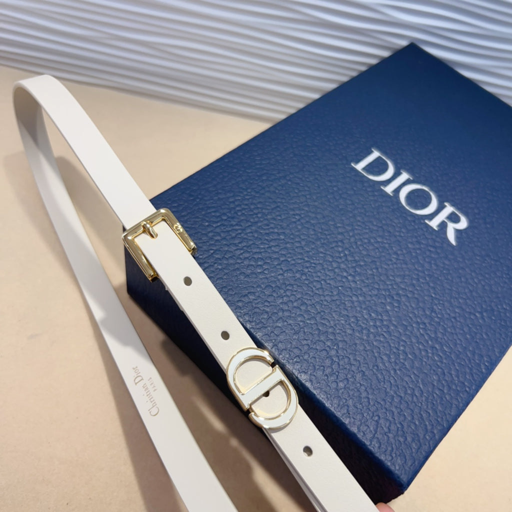 P1W15D181 Popular   High quality belt With full package