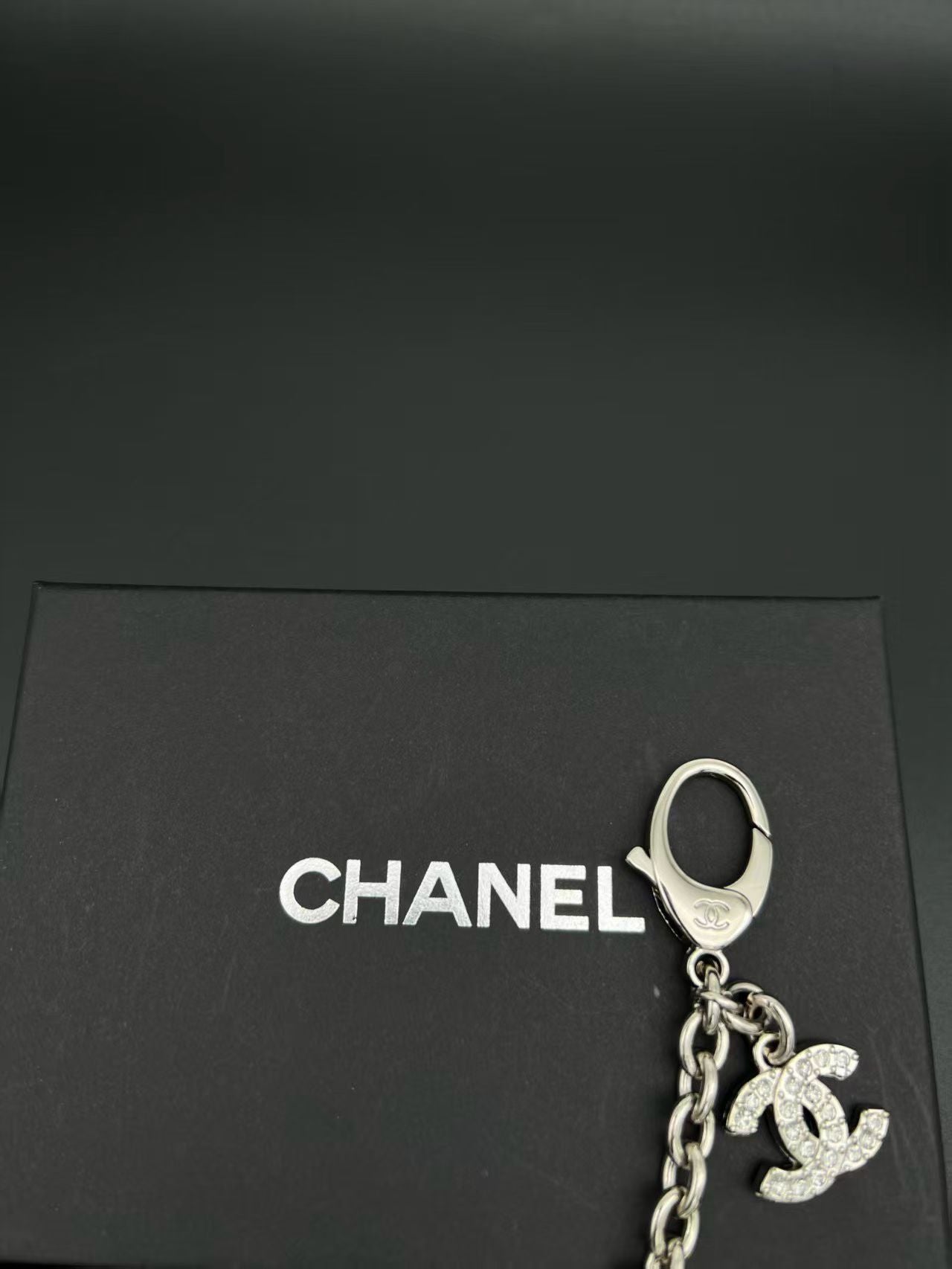 A1R76C37 Popular bag 's charms accessories
