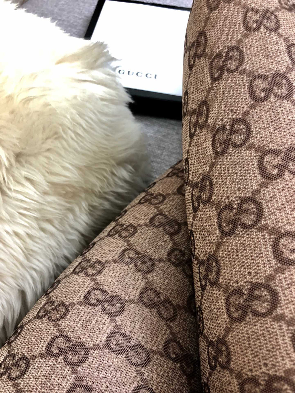 S2R86B2 Popular pantyhose tights
