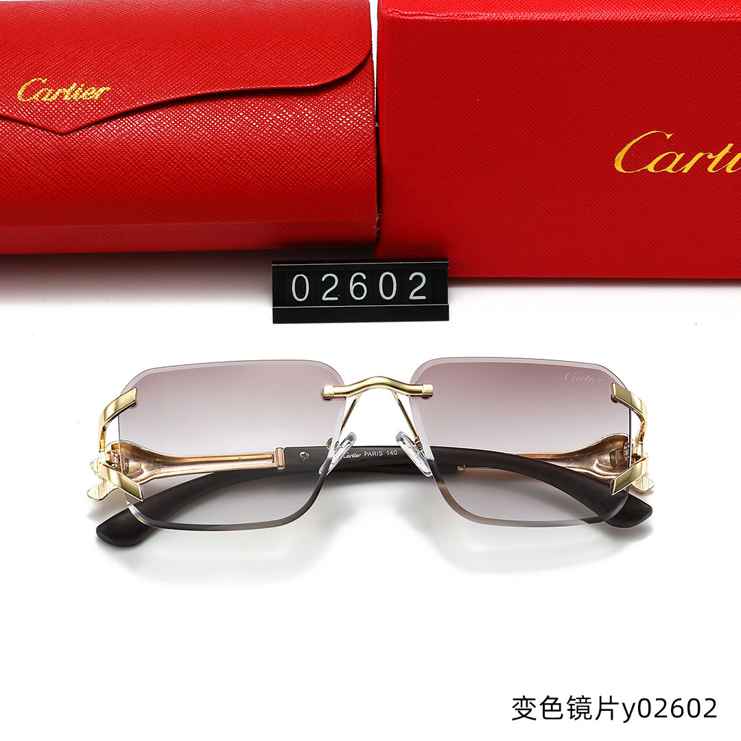 T1R86K14 Popular Sunglasses