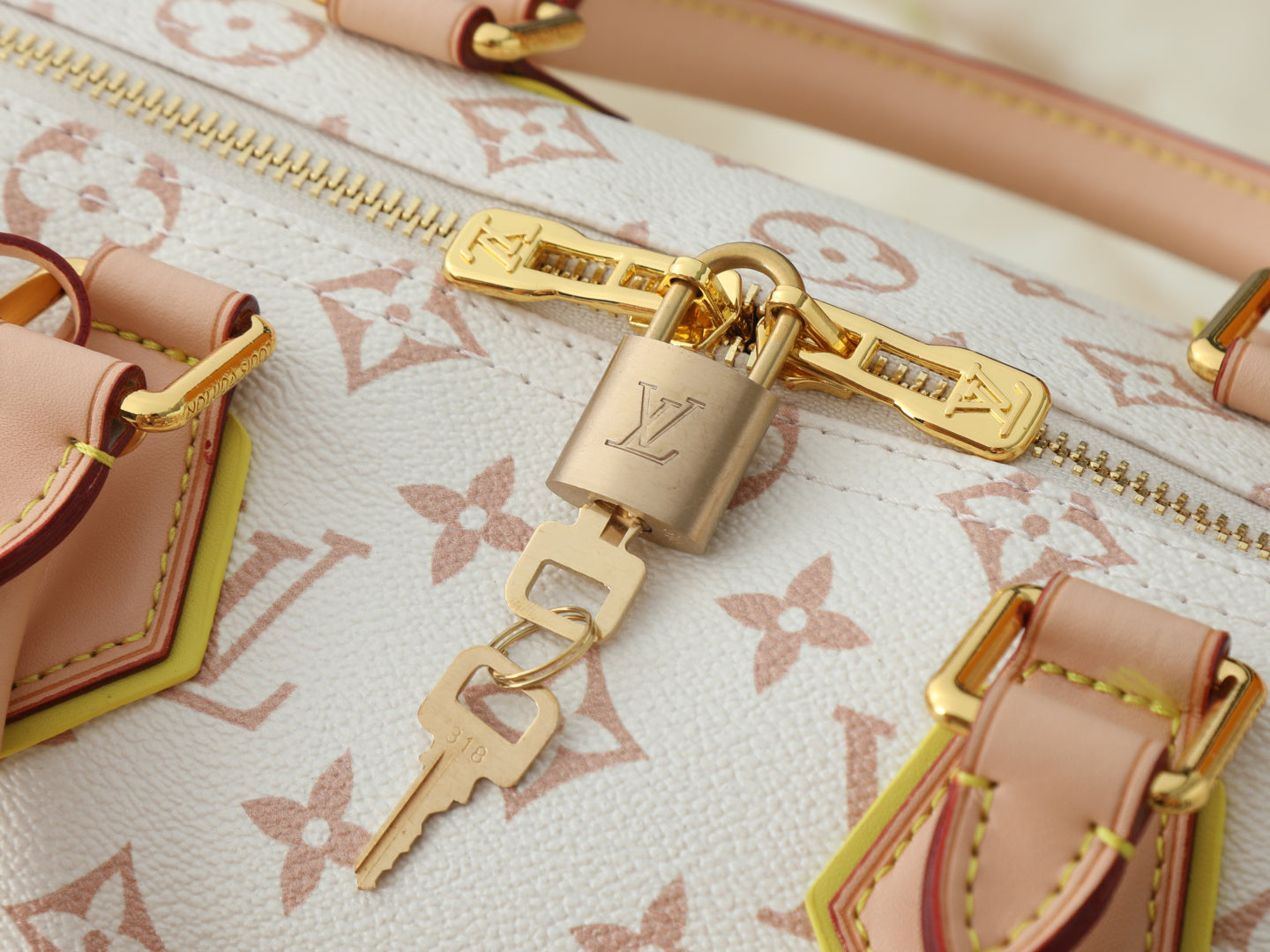 B1N86E9 Popular leather bag