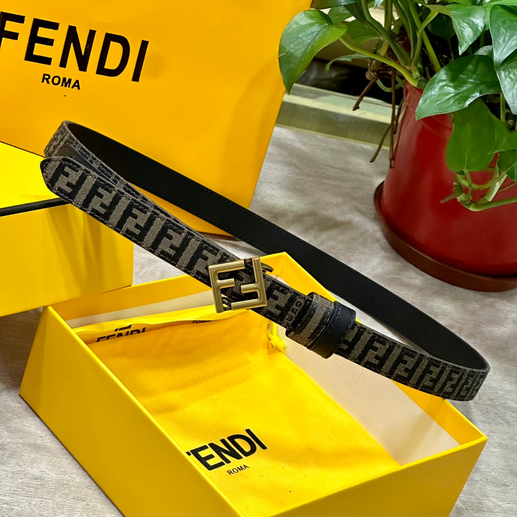 P1W15F187 Popular   High quality belt With full package